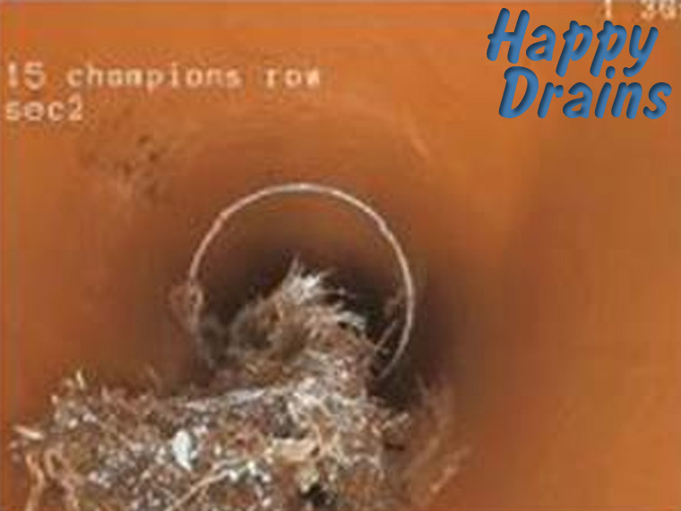 Blocked Drain Clearance & Unblocking — example