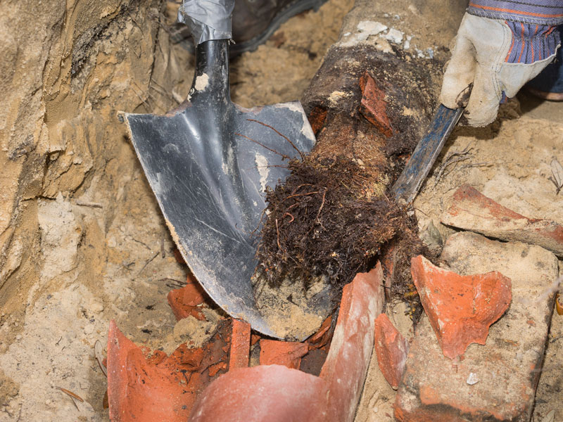 Drain Repairs